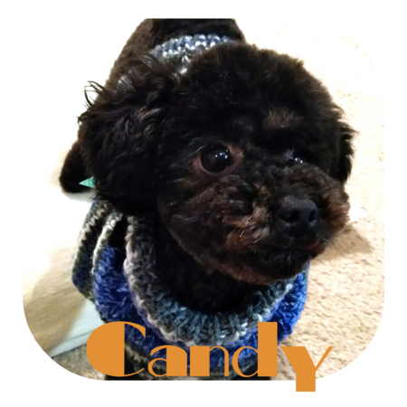 45c34df6 43ac 4bc2 8462 412812164705 s