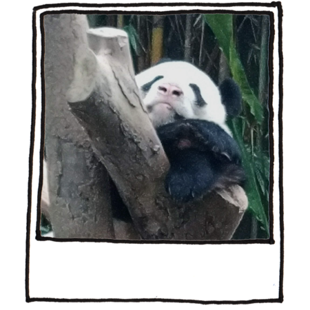 D2aafeb7 c363 44b7 a463 f6c9b3b58424 s