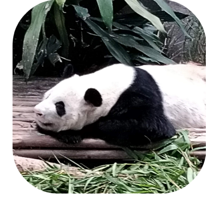 296936c5 8fb4 4eb8 bada 1b9175d1901a s