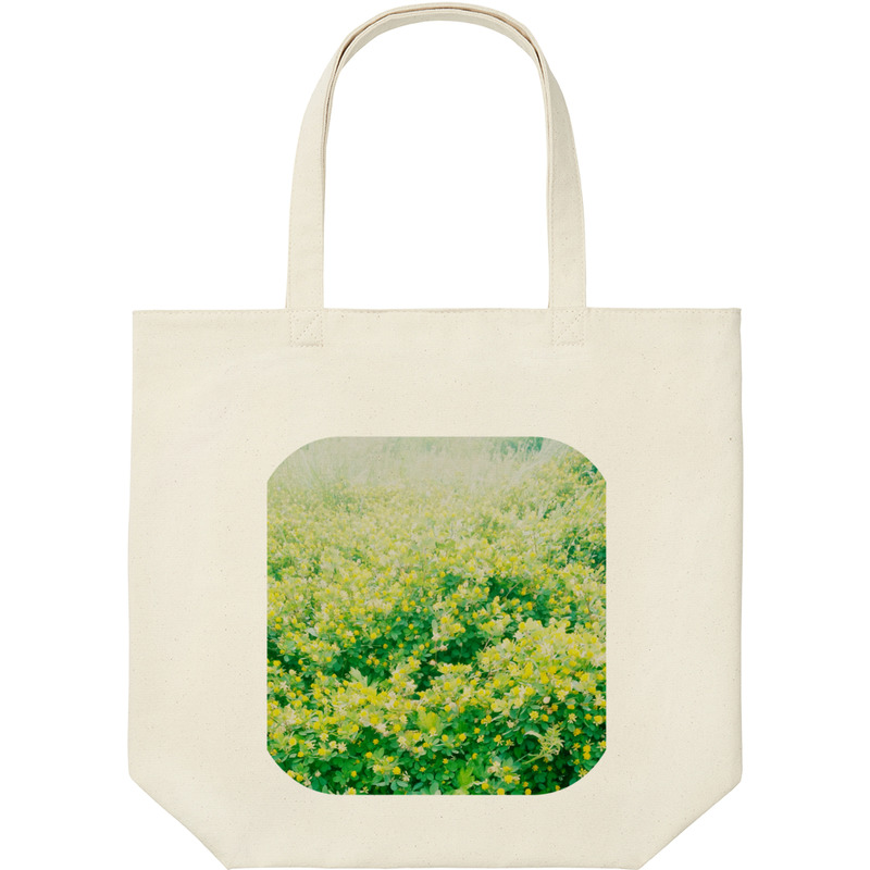 F9b300bf 3793 49ae 9676 a2caa605e84e 9 print ll