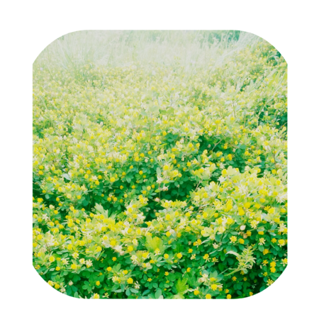 F9b300bf 3793 49ae 9676 a2caa605e84e s