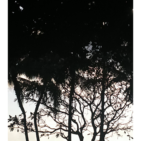 7aaaa0c4 f7dd 4a0c 9088 87d682d0b621 s