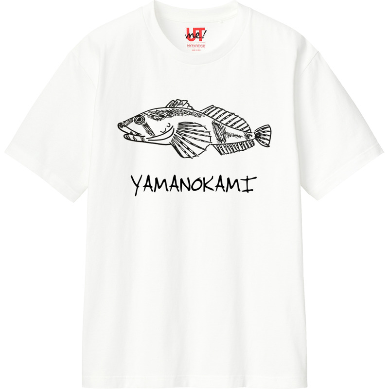 81d5f2e2 51a4 4034 8ea0 73ff6977c520 110 print ll