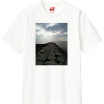 7d57a558 23e0 4592 a11c 44f4d4a3ab60 110 print s