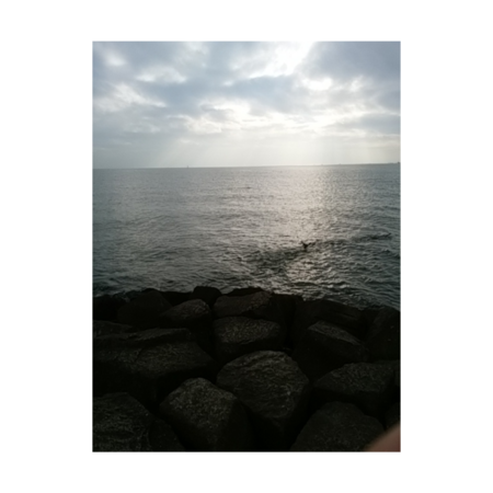 98fe9ad4 65aa 432a b318 70e17a3d5fc9 s