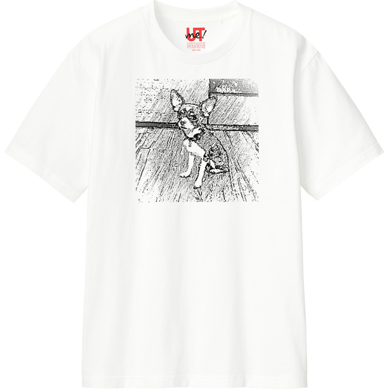 88461387 1d8f 4bb6 8b9f 58f7922e21be 110 print ll