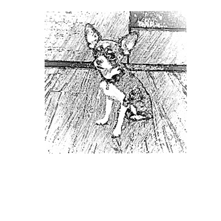 88461387 1d8f 4bb6 8b9f 58f7922e21be s