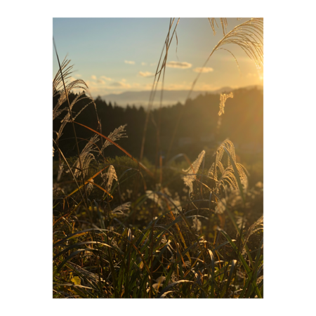 2b39c991 e74a 422e 9939 7bc4aef2c431 s