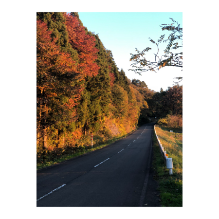 Df0dfc89 41eb 450a 9bf1 cf87f2ed66ae s