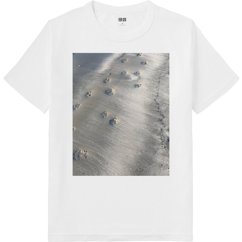 07f92b17 6ccb 41a4 a5e6 80fec95cee10 64 print ll