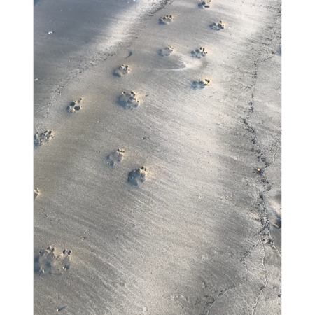 07f92b17 6ccb 41a4 a5e6 80fec95cee10 s