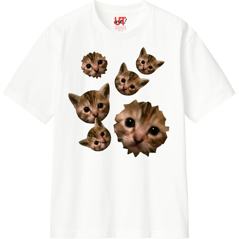 70bb3f20 c9e6 481a 8209 11c00c27f7b3 110 print ll