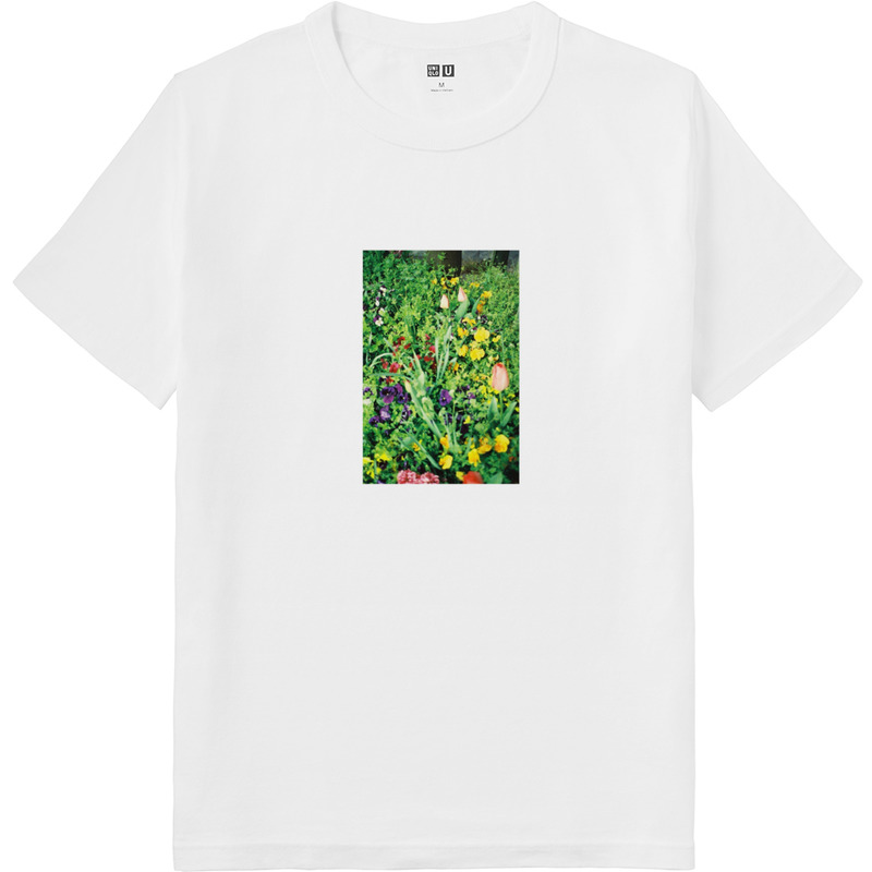 0aad50ca 6559 4c42 9c00 2cb9f3836604 64 print ll