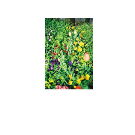 0aad50ca 6559 4c42 9c00 2cb9f3836604 s