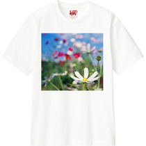 Bfb3206b 8cbd 49f6 94f0 bf9e8dd16e0a 110 print s