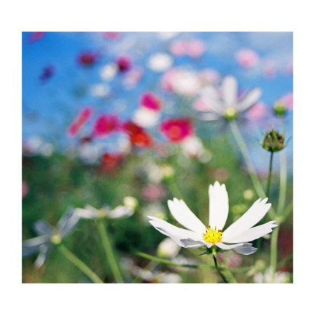 Bfb3206b 8cbd 49f6 94f0 bf9e8dd16e0a s