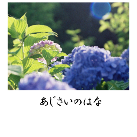 6e88e9b8 26b8 4edf 9939 43091aa627b6 s