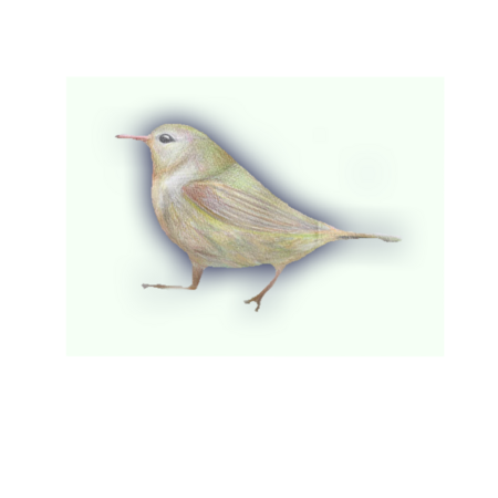 952409ee de06 4a9e b0ba 361b0d343fa5 s