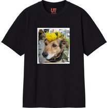 82970fd7 9d96 4569 894d f925465b11f9 111 print s