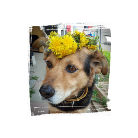 82970fd7 9d96 4569 894d f925465b11f9 s