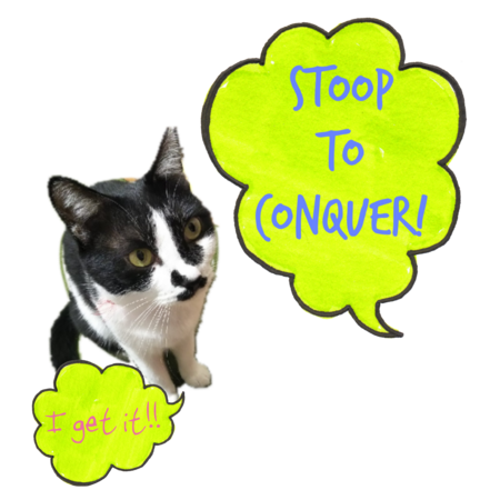 C800647b bfad 40e1 bc73 3f92612f3b87 s