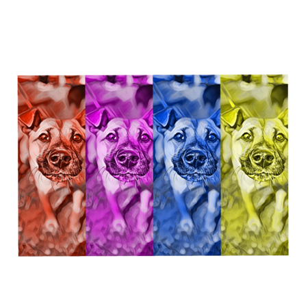 00ad29f3 f66d 4cd7 abf9 f1fc2792e110 s