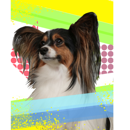 59d5c0c9 5a38 476f a711 0d09ea4a2afa s