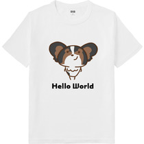 26d03719 e898 4d17 9178 0c3f2a67c4e9 64 print s