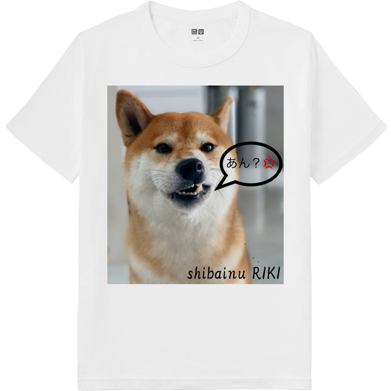 B851527d 62f8 4535 980d 51936011394b 64 print ll