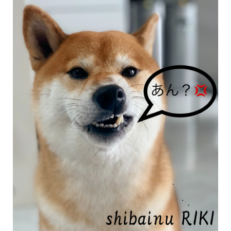 B851527d 62f8 4535 980d 51936011394b s