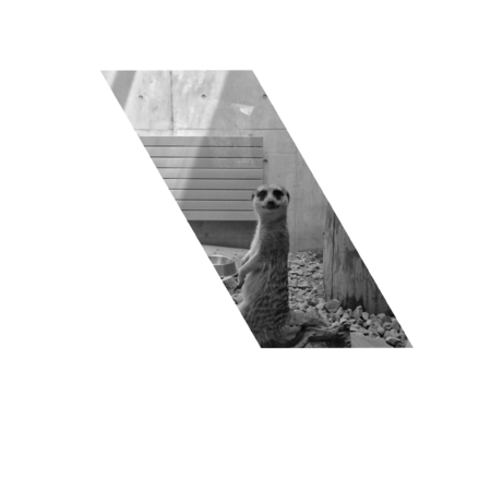 A5933fff c82c 42a3 b622 1bf9563dc5a5 s