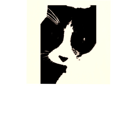 E51d1130 cec6 4f4f 82b4 e480c0e4a058 s