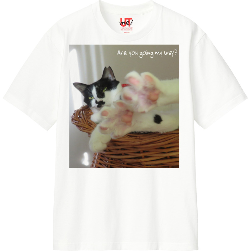 79089689 e308 481d 8438 0cefe187edc6 110 print ll