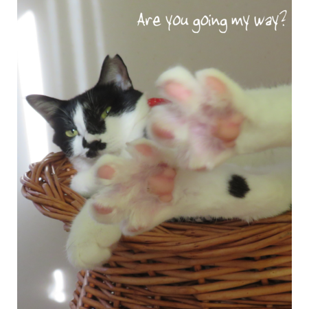 79089689 e308 481d 8438 0cefe187edc6 s