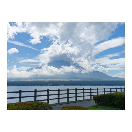 3d4989c9 f601 455f b669 e98429f3de67 s