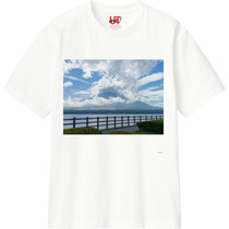 506e81e0 0874 4b4c b1ce 7160a129177f 110 print s