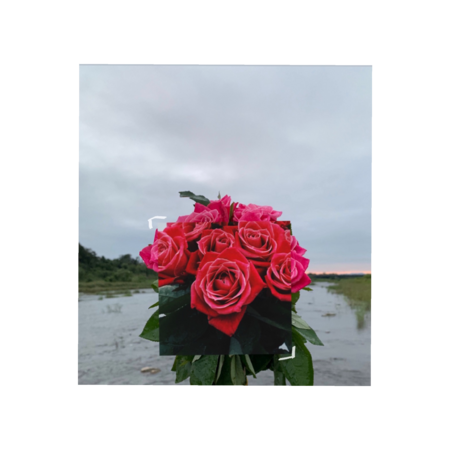 1c8b0740 2653 46e1 a937 078589543f59 s