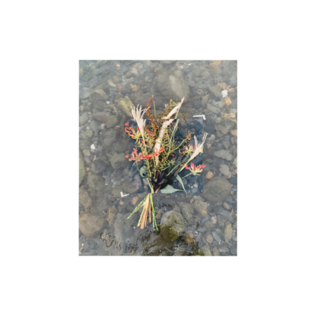 E085b220 a037 42ce 8ffc 765188e0e9ca s