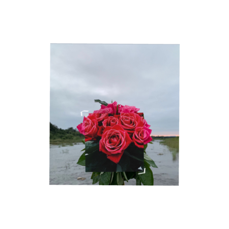 4c37dba4 921a 45e3 8971 a746b9147bda s