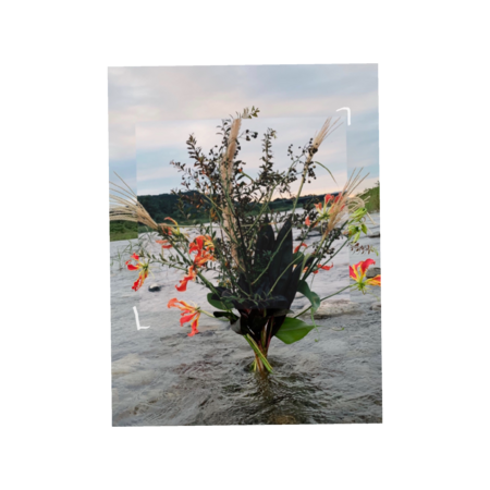 542c2b6f 5cec 4174 8021 f2d05b09e016 s