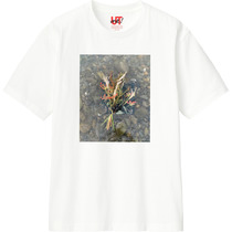 6e4695b1 a08d 477d 9f18 5a371f40a804 110 print s