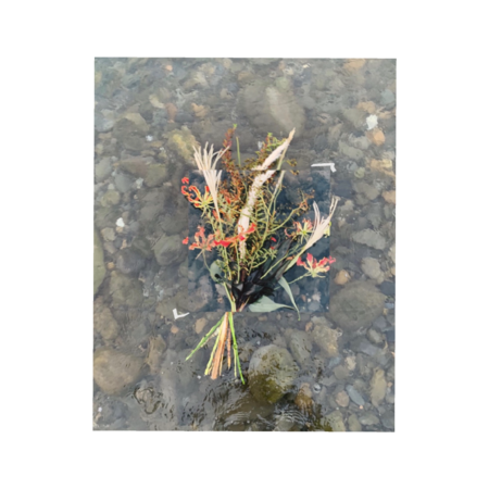 6e4695b1 a08d 477d 9f18 5a371f40a804 s