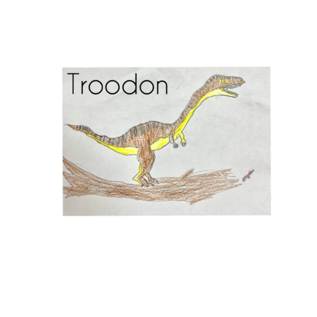 6ccd0a2e 1a16 4166 8e8d f9d509625ac0 s