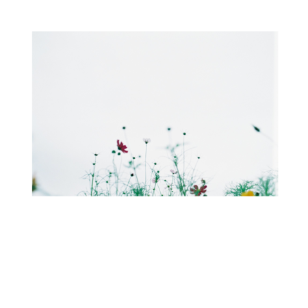 0767483b f78f 4d89 9f57 f3c0428094f7 s