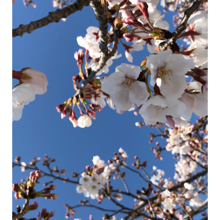 053c1a81 7f68 470d a2b4 1d91223e5b88 s