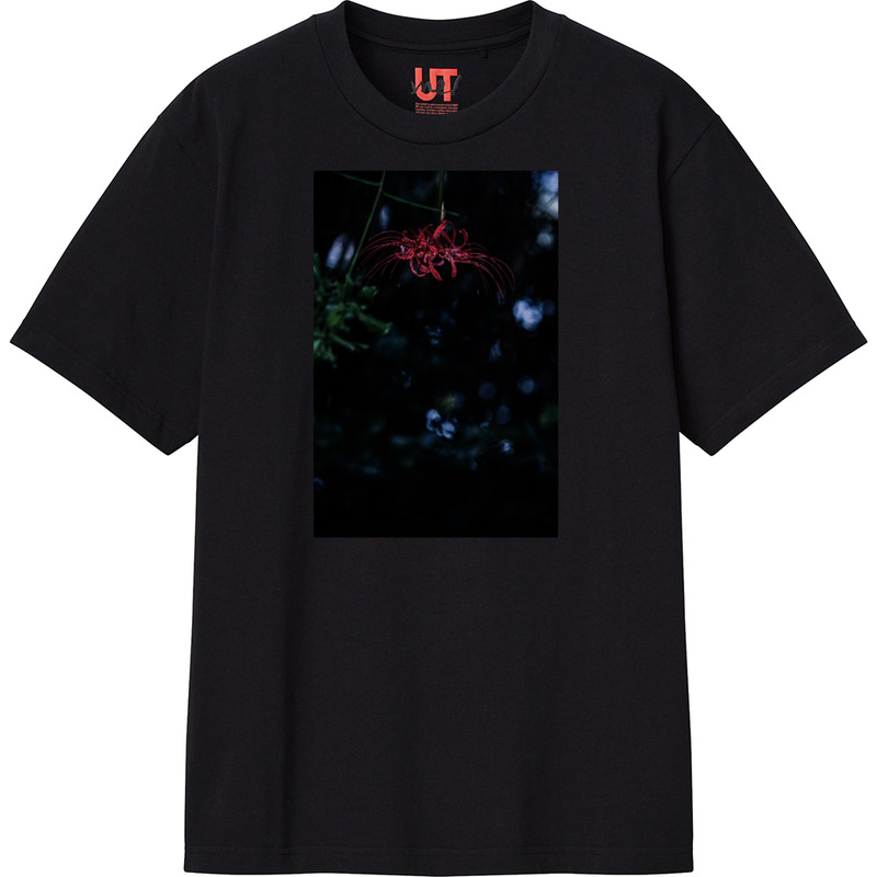 Bb7124f9 ceee 4bc2 988d c653c7ab0fb8 111 print ll