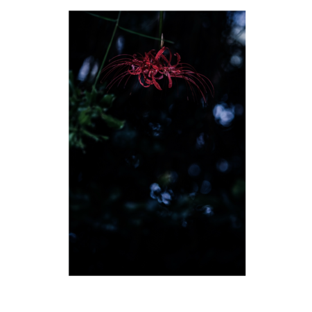 Bb7124f9 ceee 4bc2 988d c653c7ab0fb8 s