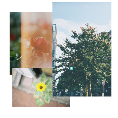 9582bf9e 16df 4531 ad19 fc7335980b9b s