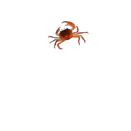 7d510ed6 4e04 4927 b029 4c278f143808 s