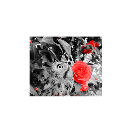 Ba7b2d1b c04e 45c5 a48d 4f4abc8410ed s